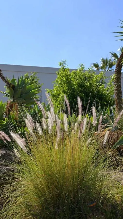The Nest Tenerife 阿罗纳 西班牙